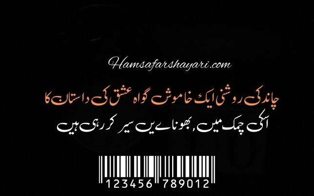 "Luminous Narratives: Celestial Poetry on the Moon in Urdu"